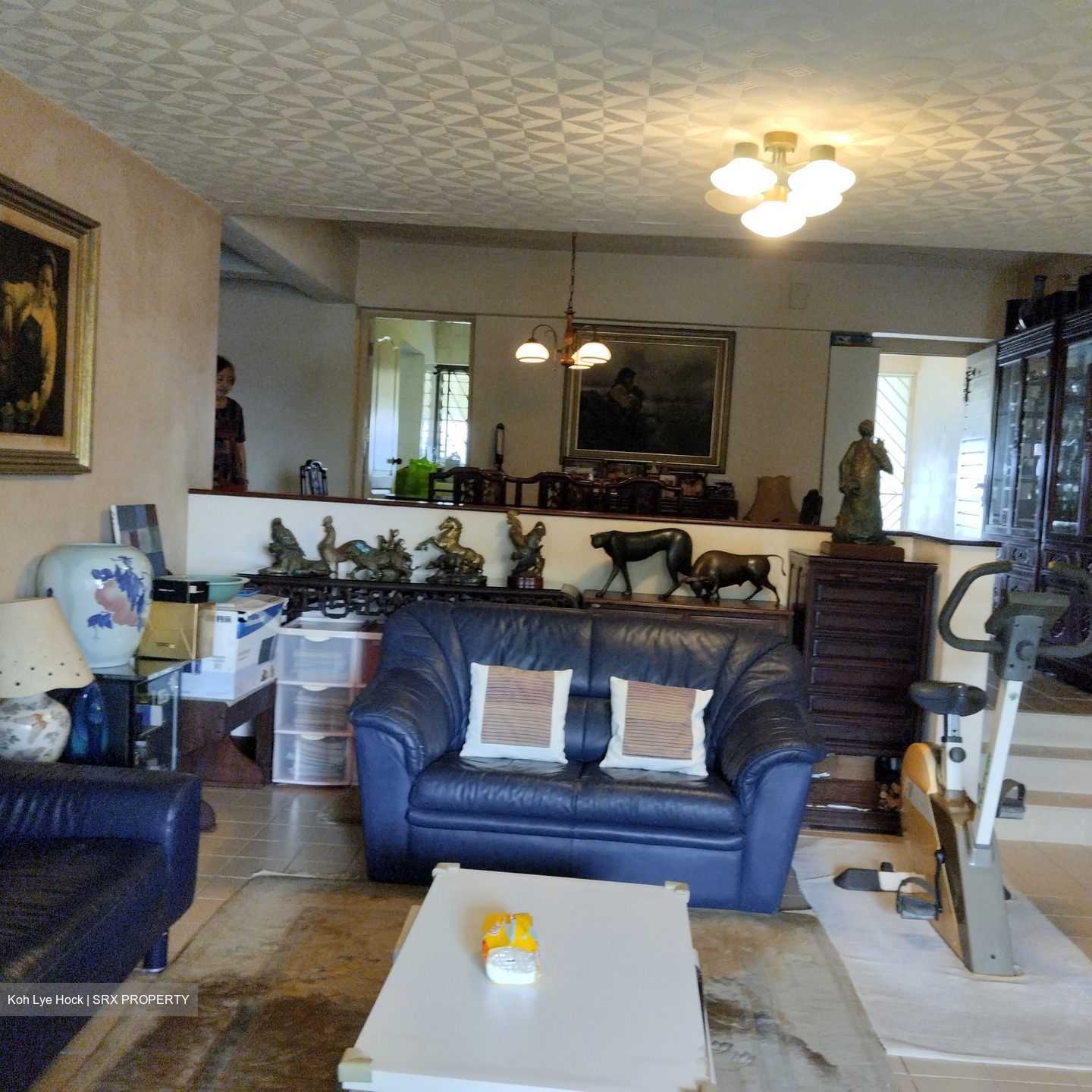 Ivory Heights (D22), Condominium #543067261